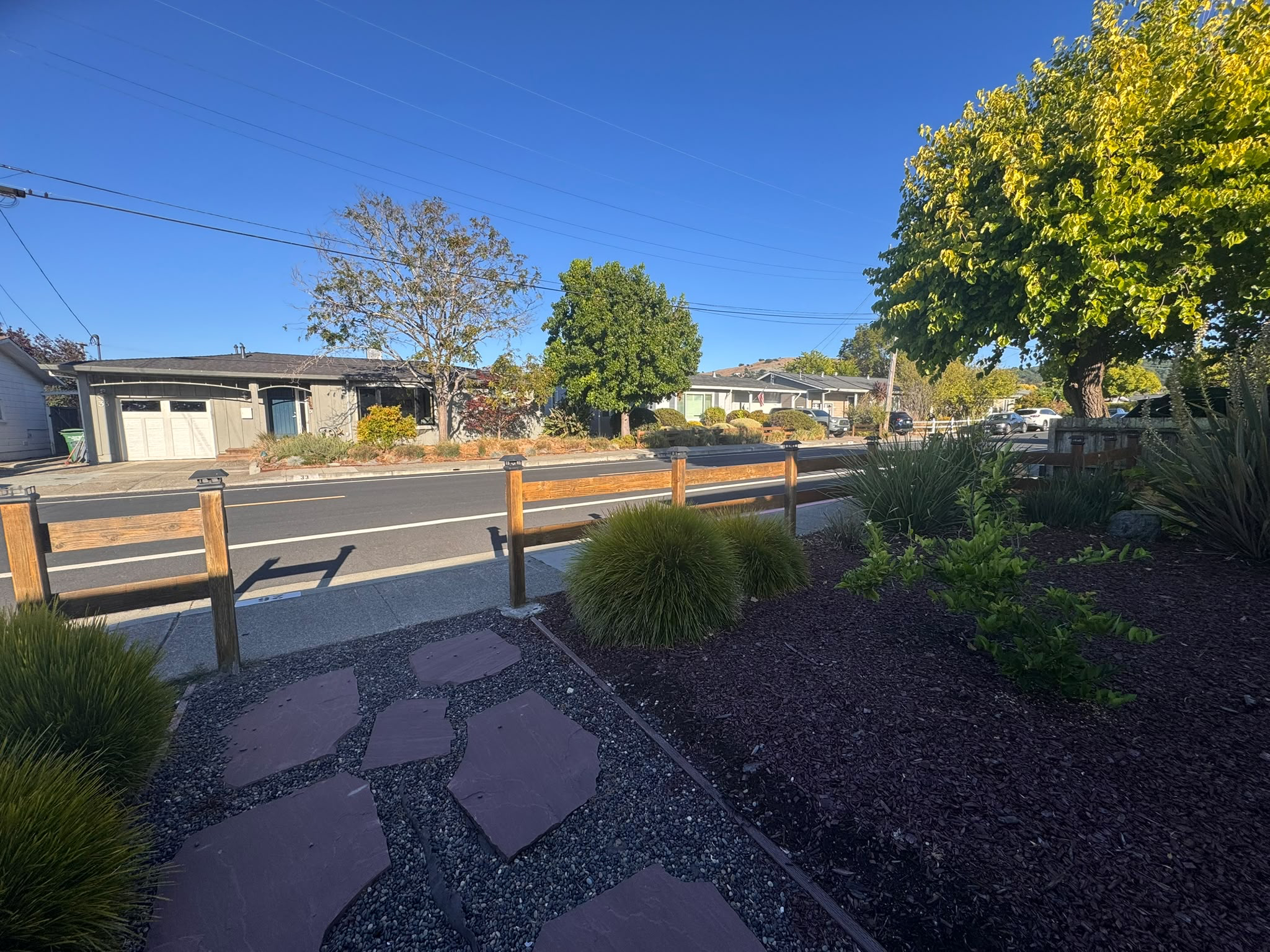 Front yard landscaping and walkway with a view out to the street